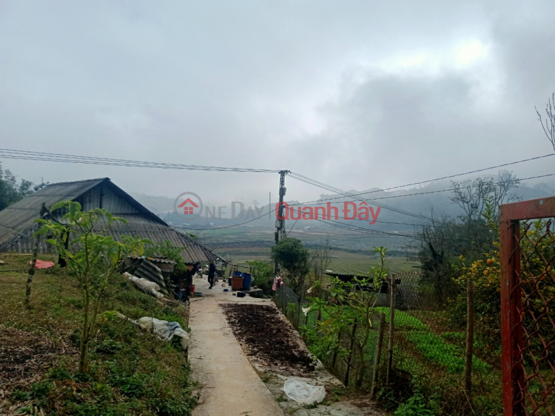 NEED TO PROMISE URGENTLY SELL SAPA LOT OF LAND SUPER CHEAP PRICE BEAUTIFUL LOCATION Vietnam Sales ₫ 100.0 Million