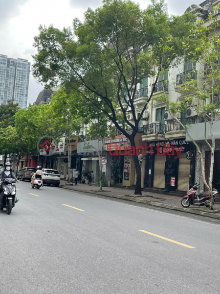 HOT! House on Tran Van Lai street, My Dinh Song Da, Nam Tu Liem, Hanoi Sales Listings
