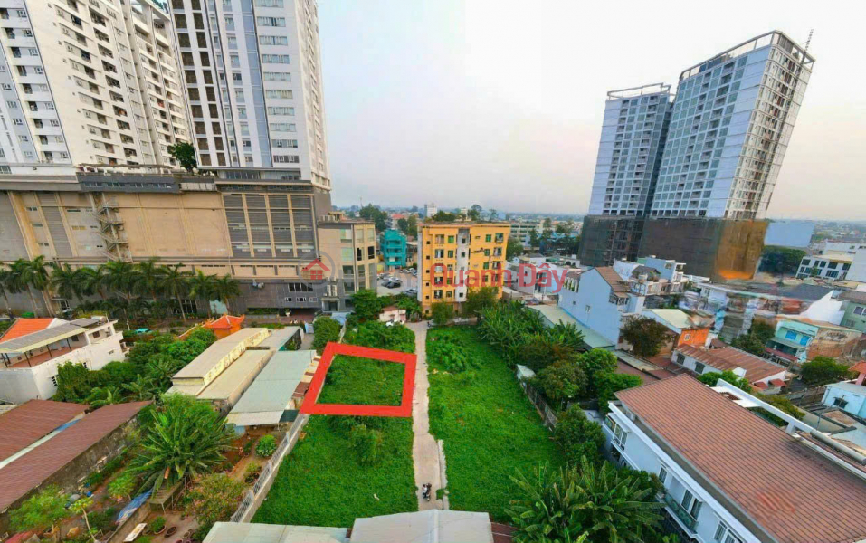 Property Search Vietnam | OneDay | Nhà ở Niêm yết bán Siêu rẻ, bán lô biệt thự 10m x 15m sau chung cư Pegasus, đường oto thoải mái chỉ 5 tỷ7