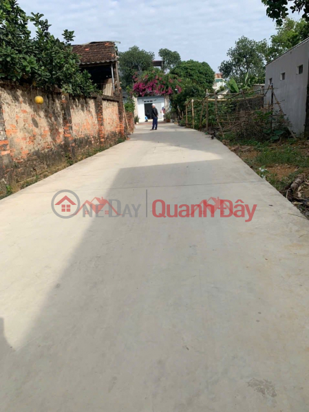 HÀNG FO CHÍNH CHỦ 295M TẠI TT XUÂN MAI-CHƯƠNG MỸ-HÀ NỘI | Việt Nam, Bán | đ 10 triệu