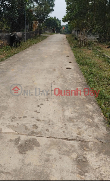 Property Search Vietnam | OneDay | Nhà ở Niêm yết bán | GIÁ TỐT - CHÍNH CHỦ Cần Bán Nhanh Đất Thổ Cư Tại Xã Nghi Văn, Nghi Lộc, Nghệ An