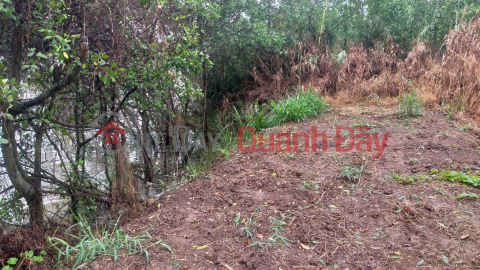 Owner Needs to Sell LAND Beautiful Location in Tan Thach Commune, Chau Thanh District, Ben Tre _0