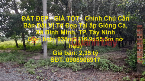 BEAUTIFUL LAND - GOOD PRICE - Owner Needs to Sell Land in Nice Location in Giong Ca Hamlet, Binh Minh Commune, City. Tay Ninh _0