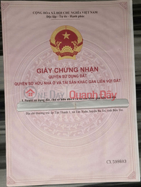 OWNER Need Money Urgently Sells Rice Plot According to Certificate In Tan Xuan, Ba Tri, Ben Tre (old) Sales Listings