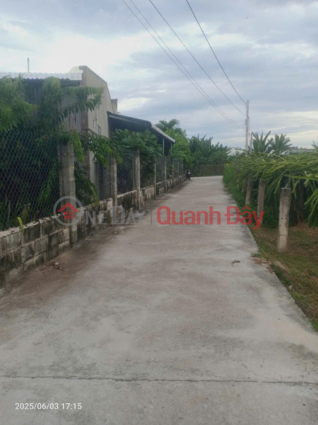 Property Search Vietnam | OneDay | Residential Sales Listings | Urgent sale of concrete frontage land in Lam Giao quarter - Ma Lam - Ham Thuan Bac - Lam Dong