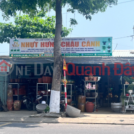 Nhựt Hưng chậu cảnh - 149 Phạm Hùng,Hoà Vang, Việt Nam