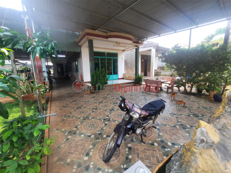 HOT HOT!! OWNER - FOR SALE LOT OF LAND WITH A FREE LEVEL 4 HOUSE IN Tan Phuoc, Dong Phu, Binh Phuoc | Vietnam, Sales đ 3.5 Billion