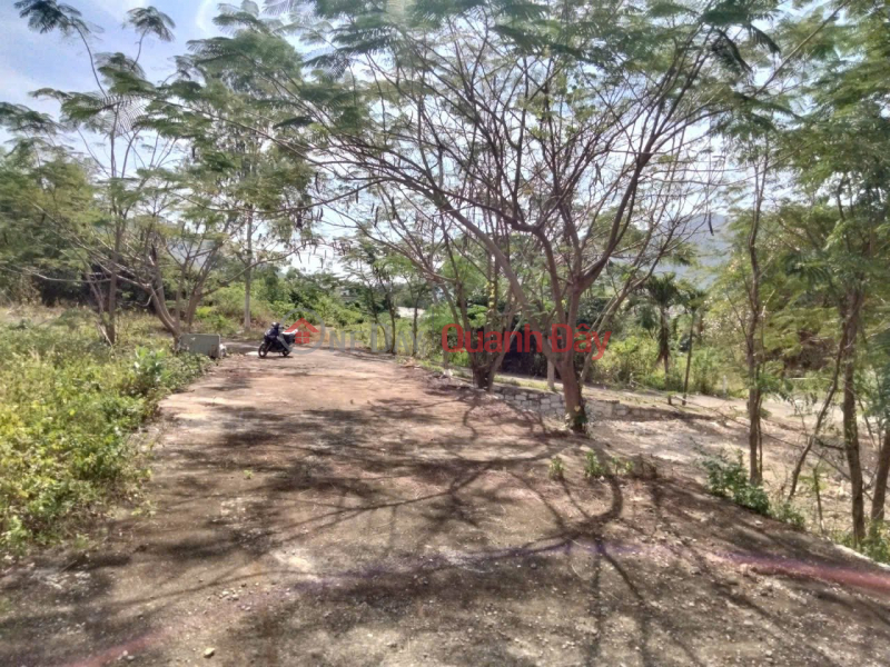 Property Search Vietnam | OneDay | Residential | Sales Listings Beautiful plot of land for sale in Phuoc Ha, Phuoc Dong, with two road frontages (6m wide for cars). Access roads are 6m and 9m wide.