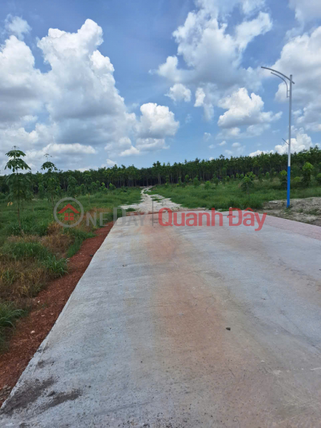 HOT HOT – CHÍNH CHỦ CẦN BÁN ĐẤT VỊ TRÍ ĐẸP TẠI Xã Minh Hưng, Chơn Thành Bình Phước Niêm yết bán