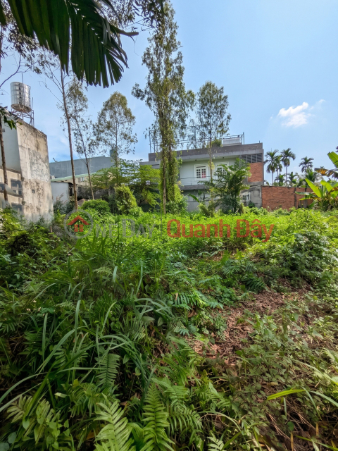 [D2284] ĐẤT SỔ HỒNG RIÊNG VƯỜN CAU ĐỎ - NỞ HẬU ĐẮC LỘC GIÁ LỘC PHÁT 9.X TỶ! _0