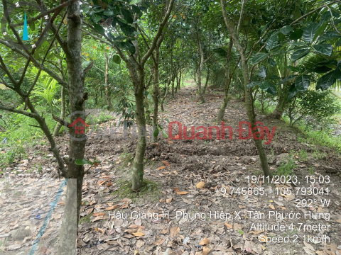 OWNER NEEDS TO URGENTLY TRANSFER LAND USE RIGHTS IN Phung Hiep, Hau Giang _0