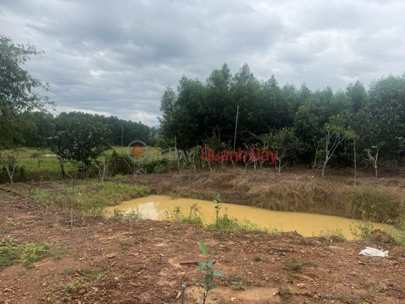 đ 499 Million Garden land in Dien Xuan - Dien Khanh - Khanh Hoa. Suitable for building a farm.