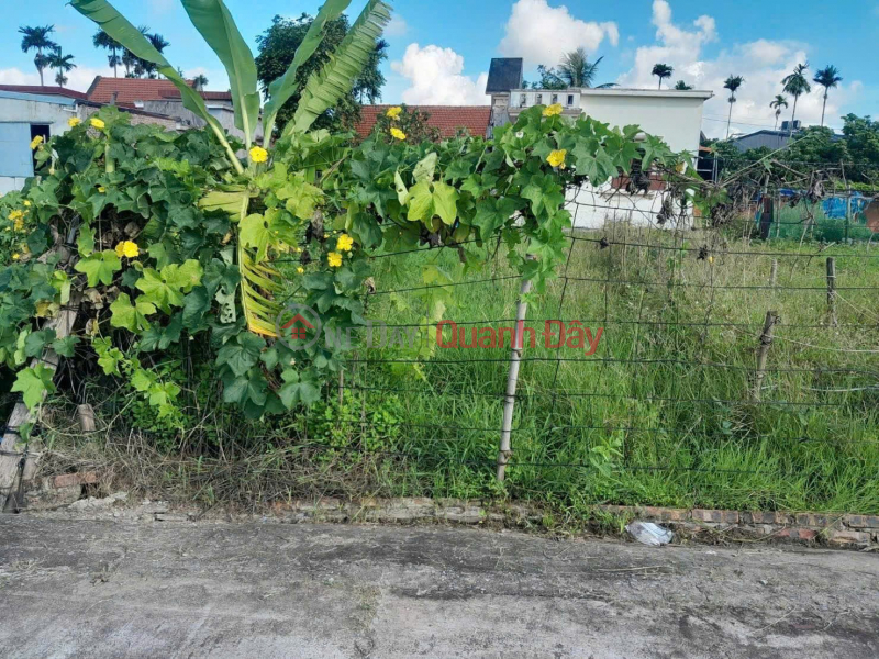 Property Search Vietnam | OneDay | Residential | Sales Listings | Rare land lot in Xuan Chieng - Ngu Phuc area, only 1.0x billion ZALO 0567 222 555