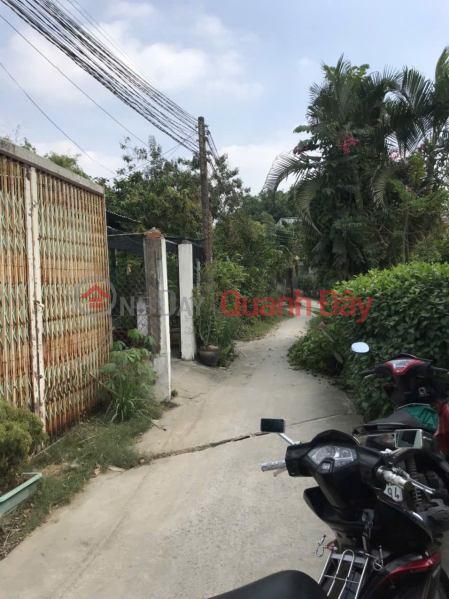 OWNER NEEDS TO SELL LOT OF LAND IN GOOD LOCATION IN CAN GIUOC TOWN, CAN GIUOC DISTRICT, LONG AN | Vietnam Sales đ 3 Billion