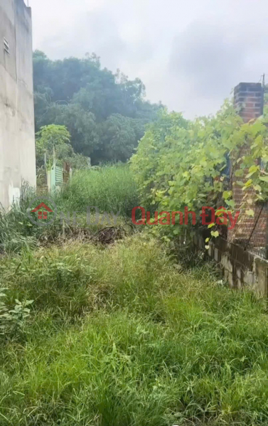 PRIME LAND - GREAT PRICE - QUICK SALE! INVESTMENT PLOT WITH HIGH PROFIT POTENTIAL IN HOA LOI WARD, HO CHI MINH CITY | Vietnam | Sales, đ 1.85 Billion