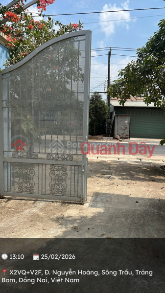 PRIME LAND – INVESTMENT PRICE – URGENT SALE! PLOT OF LAND FOR SALE Nguyen Hoang Street, Song Trau Commune, Trang Bom District, Dong Nai Province | Vietnam Sales đ 4.9 Billion