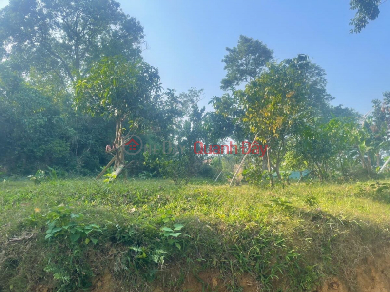 Property Search Vietnam | OneDay | Residential | Sales Listings | RESORT LAND FOR SALE 754M IN TIEN PHUONG-CHUONG MY-HANOI