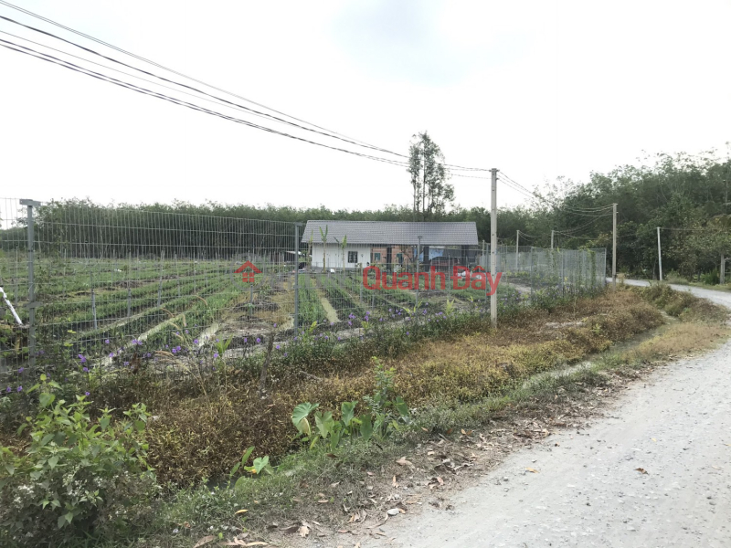 đ 10 Billion, For sale by owner 1hectare available farm 1200m2 Tho Cu Near Phuoc Dong Industrial Park, Trang Bang Tay Ninh