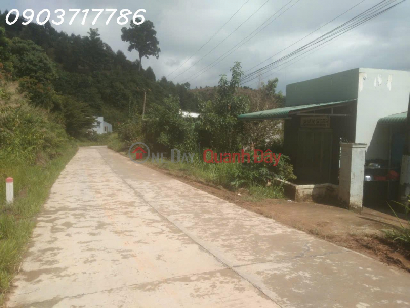 Property Search Vietnam | OneDay | Nhà ở | Niêm yết bán Chính chủ cần bán nhà riêng tại La Dạ, Bình Thuận (Tỉnh mới Lâm Đồng),Dt 180m2, giá 850tr