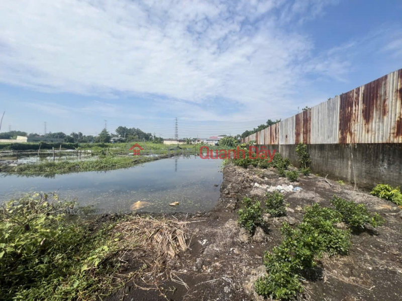 Property Search Vietnam | OneDay | Residential | Sales Listings 14 billion discount! Land with frontage of 8m, 5870m2, expanding at the back - Dong Thanh 2, Hoc Mon District