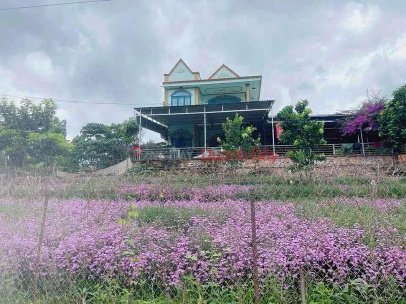 , Làm ơn chọn, Nhà ở Niêm yết bán | đ 19 tỷ