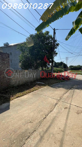 Property Search Vietnam | OneDay | Nhà ở | Niêm yết bán | ĐẤT ĐẸP THÔN CÁP – CAO DƯƠNG (PHÚ THỌ) – 478M², MẶT TIỀN 20M