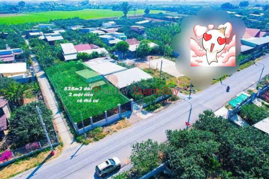 Selling grapefruit garden 528m2 with 150m2 residential land, frontage Huong Lo 9 only 4 billion 650 Sales Listings