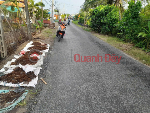 OWNER Needs to Quickly Sell a Plot of Land in Thanh Phu Hamlet, Thanh Quoi Commune, Long Ho District, Vinh Long _0