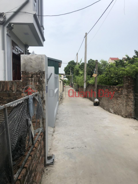 ORIGINAL LAND - Own the Land Lot In Thanh Oai - Hanoi Sales Listings