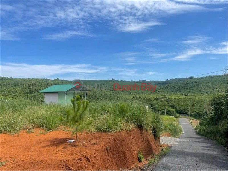 HOT HOT - CẦN BÁN LÔ ĐẤT VỊ TRÍ ĐẸP TẠI Xã Lộc Ngãi, Huyện Bảo Lâm, LÂM ĐỒNG Việt Nam Bán đ 990 triệu