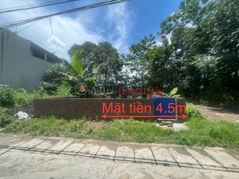 Land for sale in Ve Nam Hong village, 70m x 4.5m, car safe, price slightly 4 billion TL. Contact: 0936123469. Sales Listings