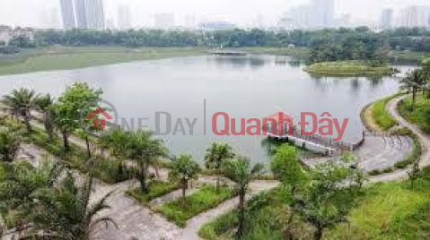 Bán biệt thự mặt đường Hoàng Quán Chi 212m2, MT17m lô góc mặt công viên Cầu Giấy _0