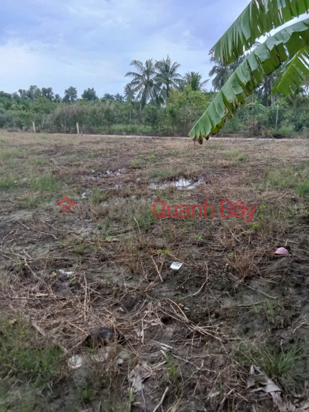 BEAUTIFUL LAND - GOOD PRICE - URGENT SALE Potential Land Lot At Luong Dinh Cua Street, Ward 5, Soc Trang City | Vietnam Sales | đ 700 Million