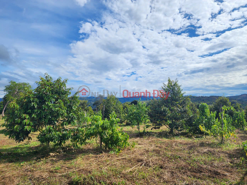 Property Search Vietnam | OneDay | Residential, Sales Listings | BEAUTIFUL LAND - OWNER SELLS LAND At Buon B.salousieum, Tien Hoang Commune, Cat Tien, Lam Dong