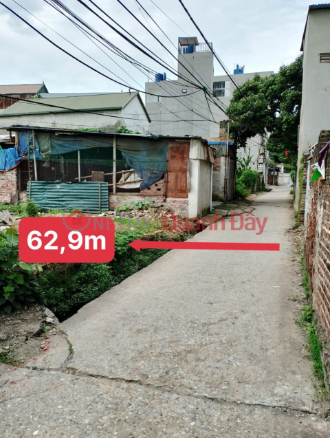 cc for sale 63m2, main street frontage of Phuong Nghia village, Phung Chau, Chuong My, Hanoi, car _0