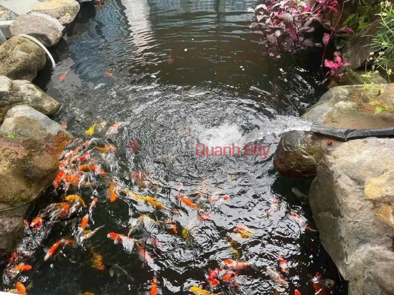 , Làm ơn chọn Nhà ở | Niêm yết bán đ 3,29 tỷ