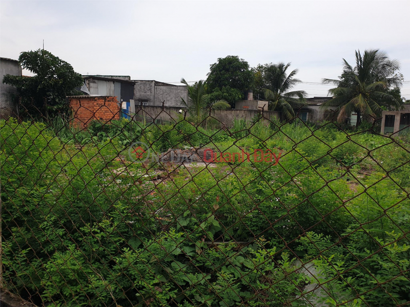 đ 1.3 Billion, ORIGINAL LAND - URGENT SELL 2 Adjacent Plots In Long Dinh Commune, Can Duoc District - Long An