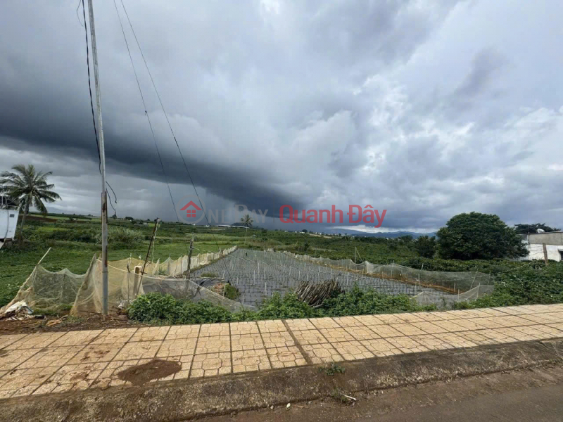 đ 5.67 Billion | 2100m2 land for sale on Road 724, Tan Hoi, Duc Trong, Lam Dong. Price: 5.67 billion VND.