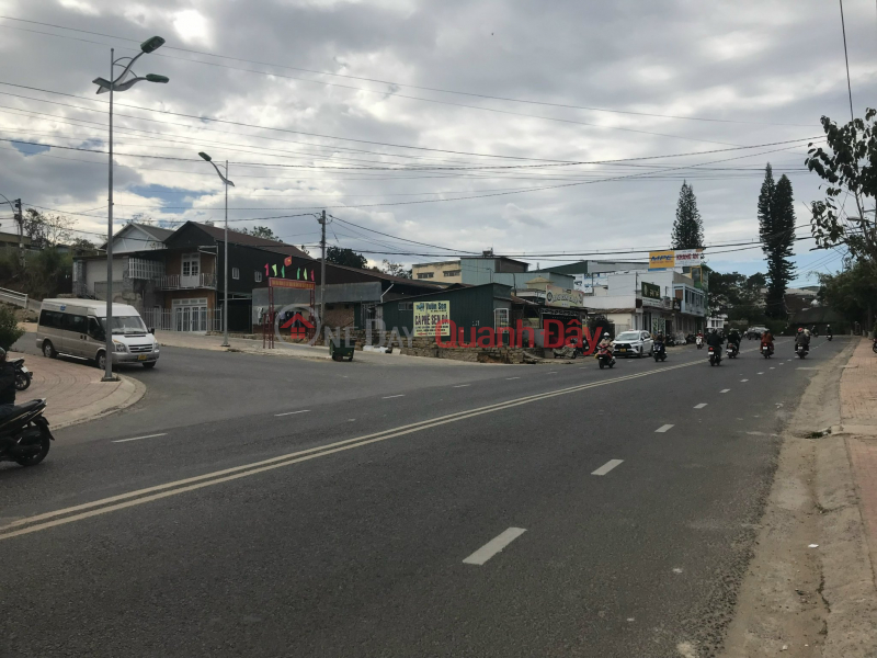 Property Search Vietnam | OneDay | Residential | Sales Listings, Hot Hot - Urgent sale House frontage on Xo Viet Nghe Tinh street, Da Lat 174m2