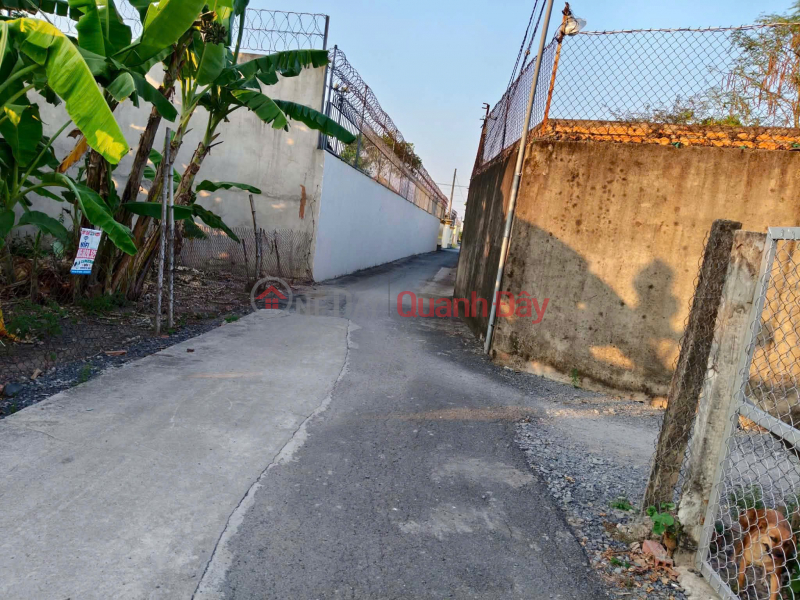 PRIME LAND - GREAT PRICE Urgent Sale: Plot of land 37, Hamlet 3, Nhut Chanh, Doctor Road, Nhut Chanh Commune, Ben Luc District, Long An Province. Sales Listings
