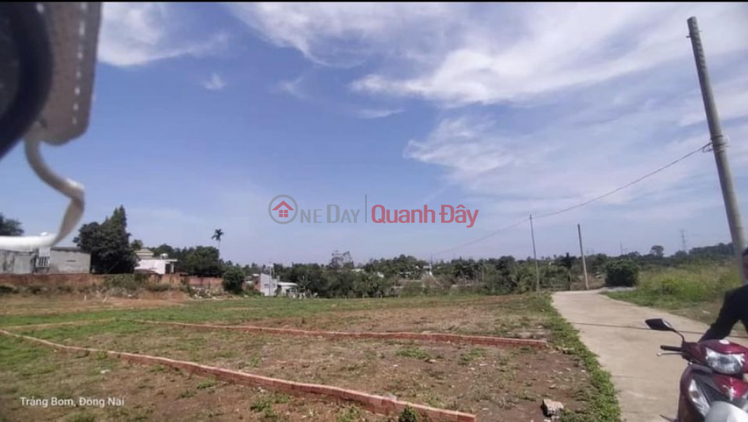 Land plot for sale urgently in Hung Thinh, Trang Bom, Dong Nai Sales Listings