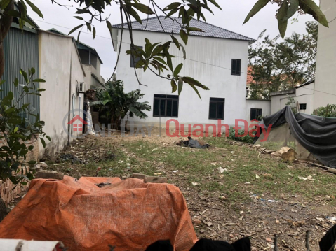PRIME LAND - GOOD PRICE - Need to Sell Quickly in Tan Phong Commune, Binh Xuyen, Vinh Phuc _0
