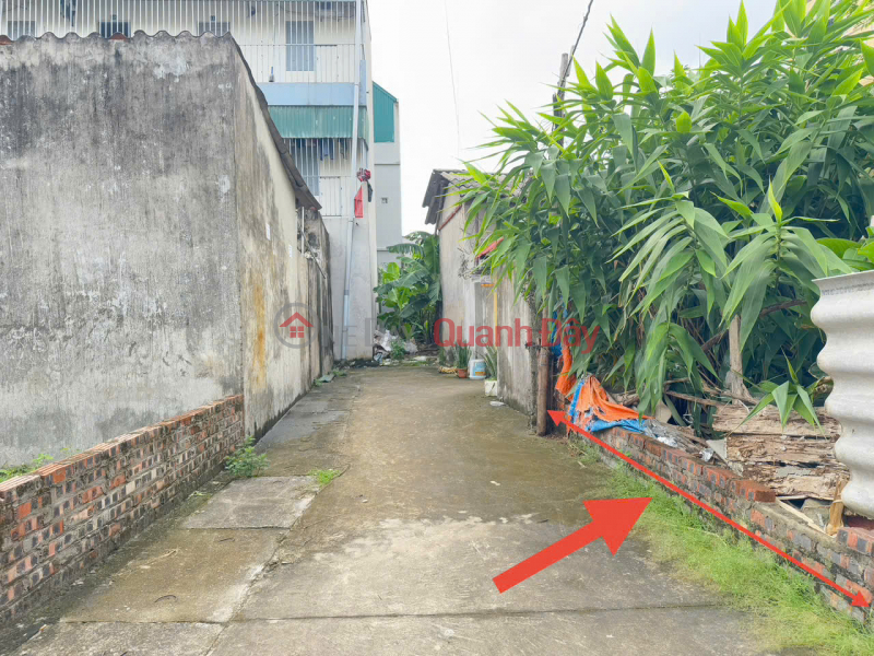 Super nice land lot for sale, group 5, Quang Minh, Hanoi city. Near Quang Minh Industrial Park, car parking Sales Listings
