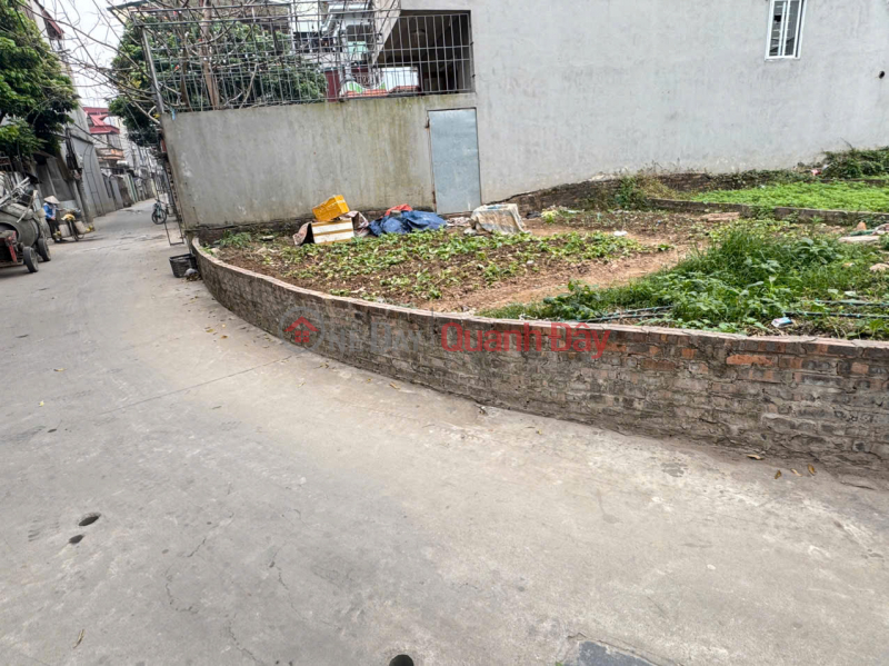 Property Search Vietnam | OneDay | Residential Sales Listings, Selling 60m² of land in Group 11, Quang Minh. Located near the service land area currently being leveled.