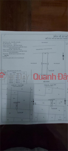 Beautiful Land - Good Price - Owner Needs to Sell Land Plot Quickly, Location in Binh Chanh District, HCMC, Vietnam, Sales, đ 980 Million