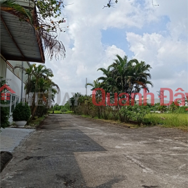 Selling 2.8ha of land for warehouse and factory for 50 years at 5 Lai Cach street, Cam Giang, Hai Duong province _0