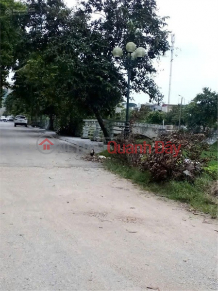 HOT HOT – OWNER NEEDS TO SELL A HOUSE WITH A 6M FRONTAGE at Alley 49B, Le Loi Street, Tan Son Ward, Thanh Hoa City, Thanh Hoa Province Sales Listings
