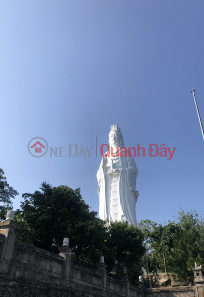 Chùa Linh Ứng (Linh Ung Pagoda) Sơn Trà | ()(4)