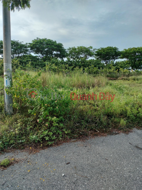 ĐẤT ĐẸP KHU TĐC TÂN TRÀ, ĐÀ NẴNG – GIÁ CHỈ 3,95 TỶ _0