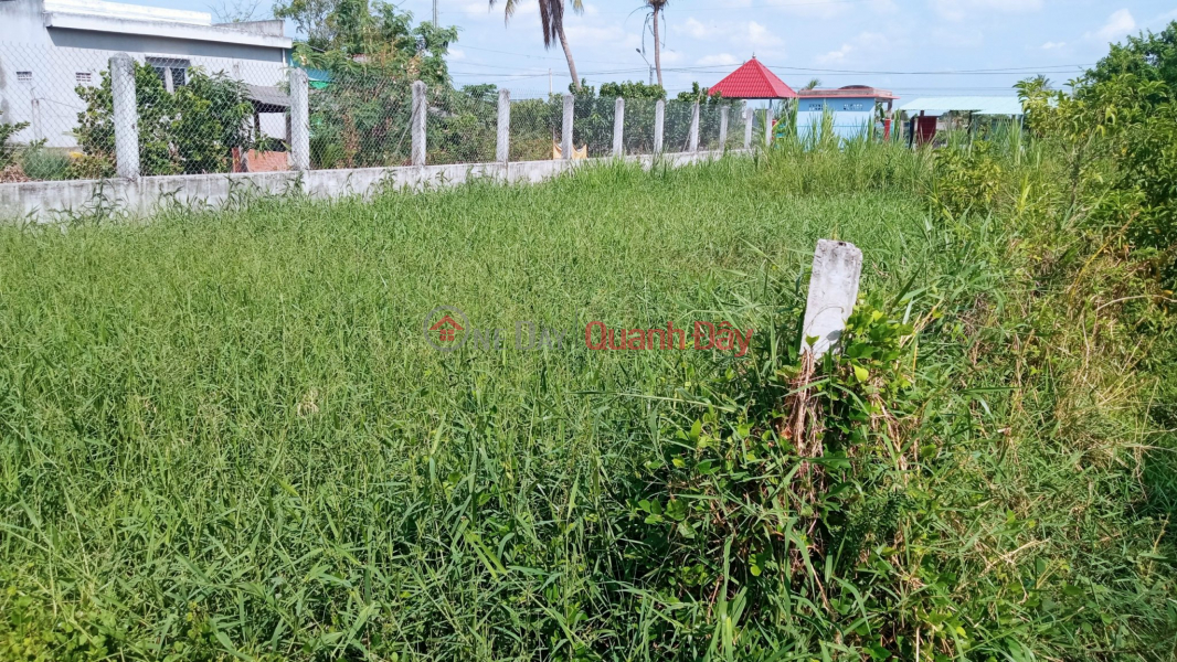 Urgent sale of plot of land fronting on Dan Street, priced at 950 million, reduced to 890 million | Vietnam Sales | ₫ 890 Million